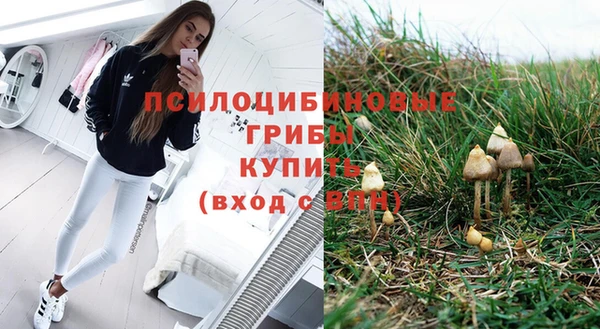 jwh Ельня